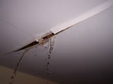 Small Photo example of water damage.